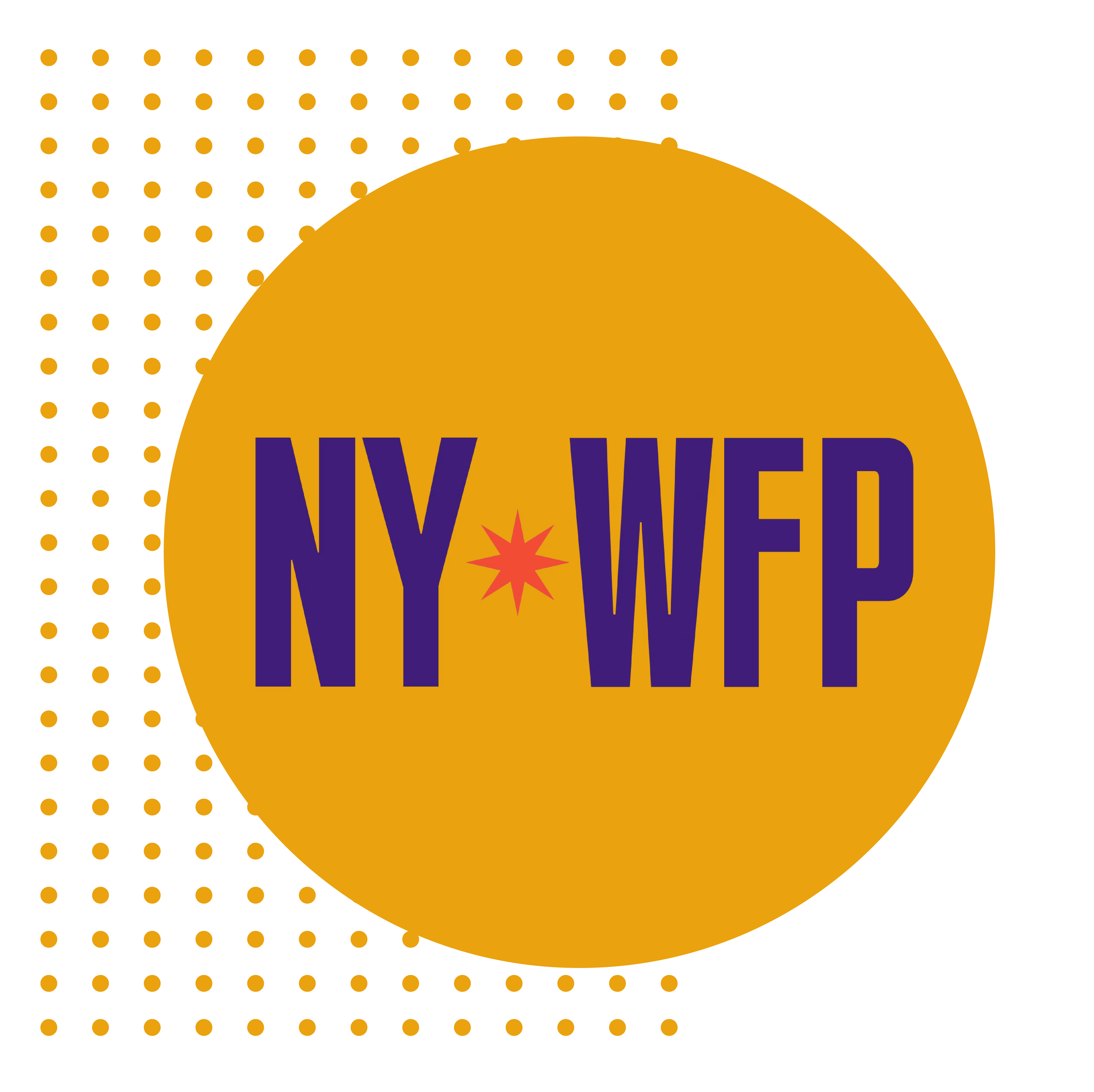 New York Working Families Party Endorses Shekar Krishnan